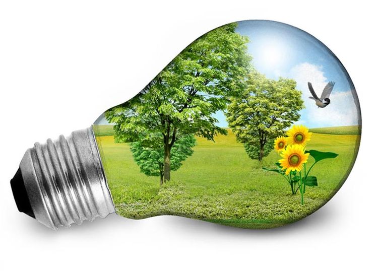 Soluciones Energéticas y Reformas, S.L. bombillo ecológico 