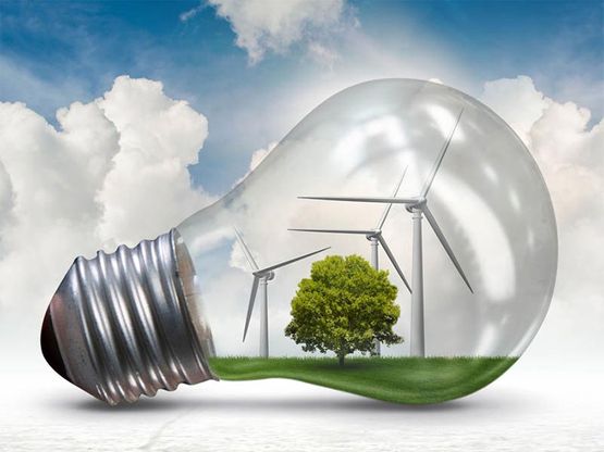 Soluciones Energéticas y Reformas, S.L. bombilla con árbol